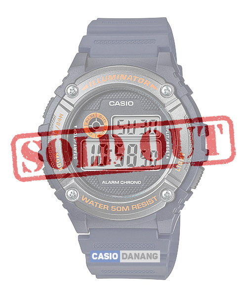 CASIO NAM W-216H-2BVDF (43mm)